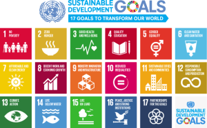 All 17 SDGs.