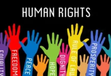 REPORT: Police Top Human Rights Violation Complaints in 2025