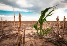Is Africa’s climate crisis a legal crisis too?