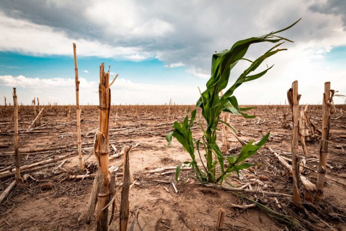 Climate+Change+&+Agri+Image